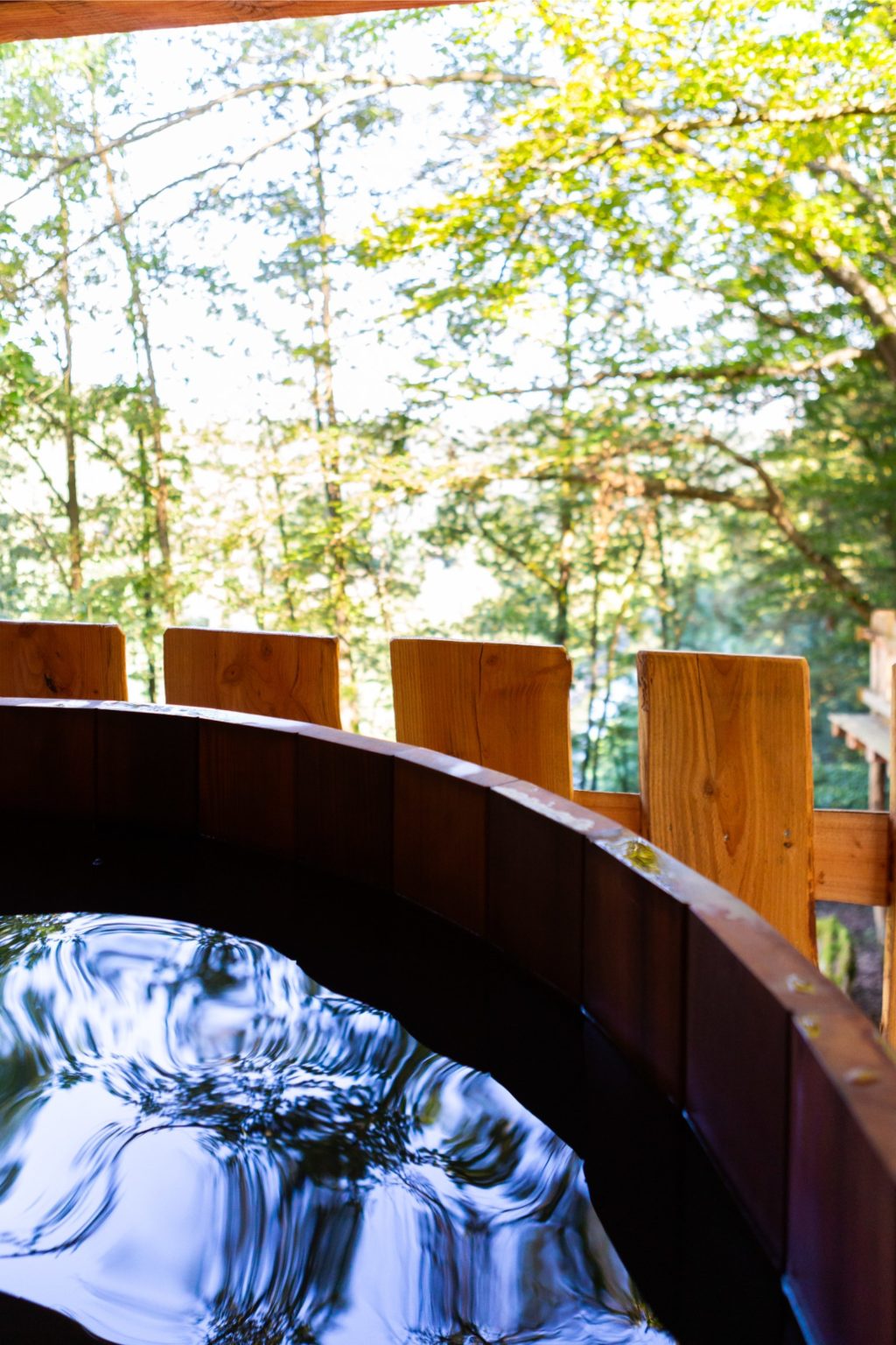 gites-insolites-hd-cabane-arbres-19-photo-carine-domaine-de-la-forestiere-gite-alsace