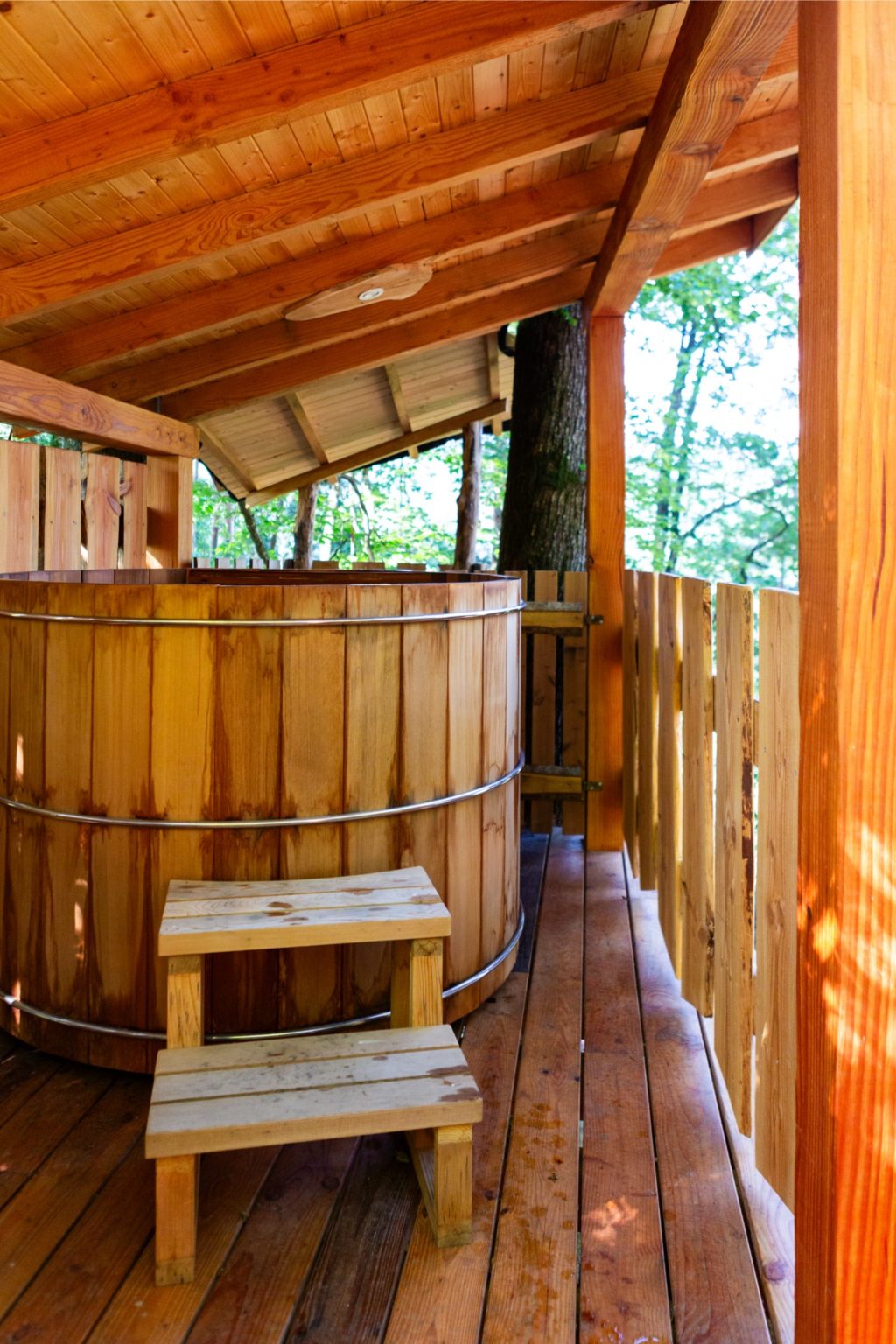 gites-insolites-hd-cabane-arbres-21-photo-carine-domaine-de-la-forestiere-gite-alsace