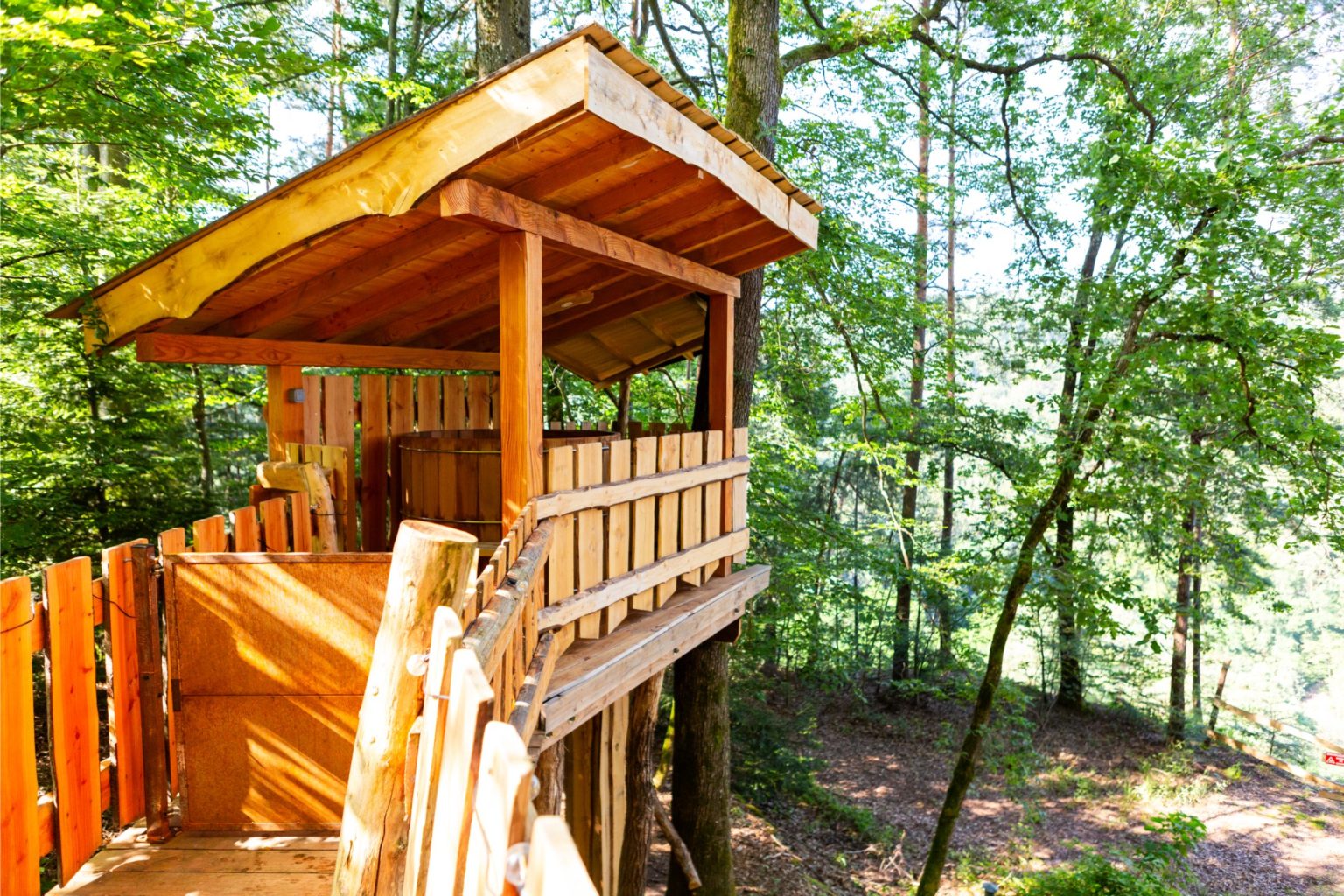 gites-insolites-hd-cabane-arbres-22-photo-carine-domaine-de-la-forestiere-gite-alsace