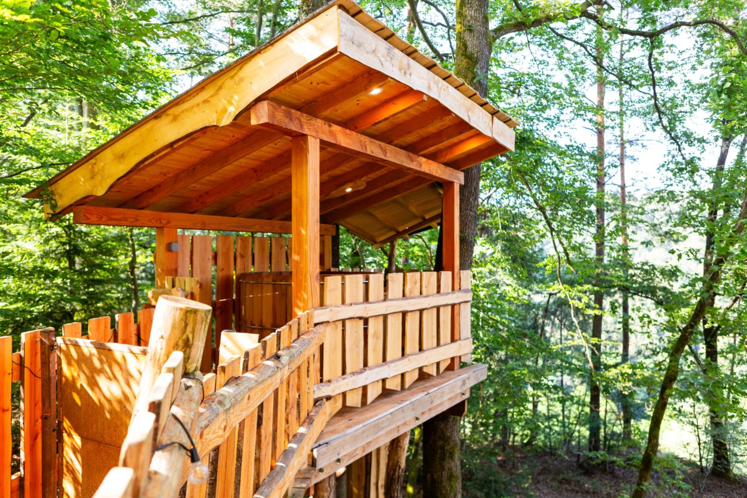 gites-insolites-hd-cabane-arbres-24-photo-carine-domaine-de-la-forestiere-gite-alsace