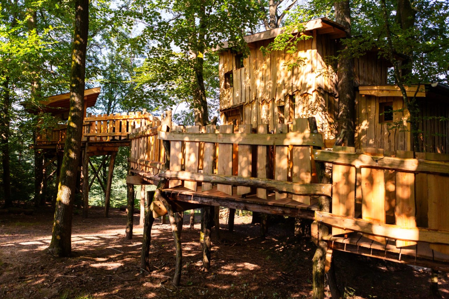 gites-insolites-hd-cabane-arbres-25-photo-carine-domaine-de-la-forestiere-gite-alsace