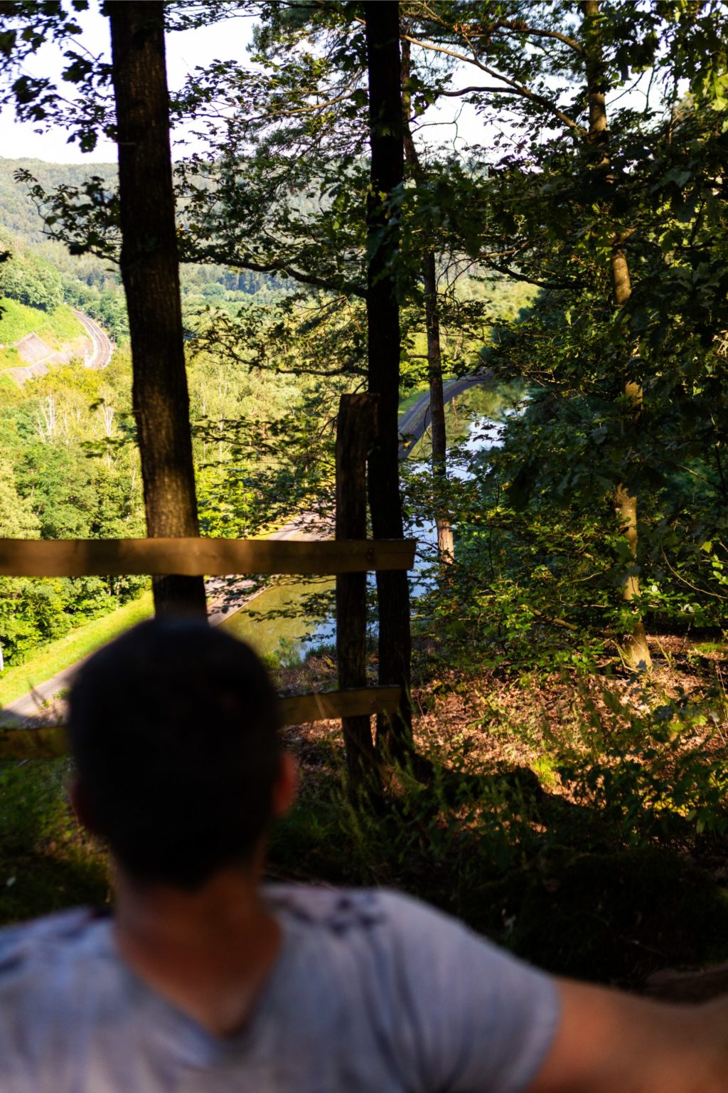gites-insolites-hd-cabane-arbres-26-photo-carine-domaine-de-la-forestiere-gite-alsace