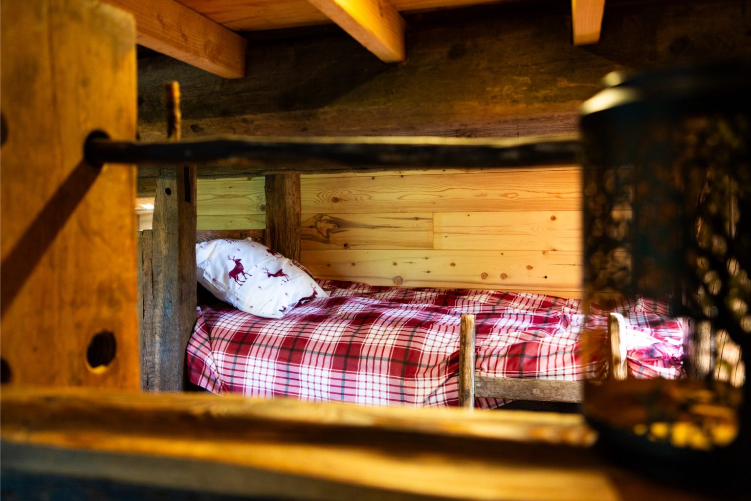 gites-insolites-hd-cabane-arbres-5-photo-carine-domaine-de-la-forestiere-gite-alsace