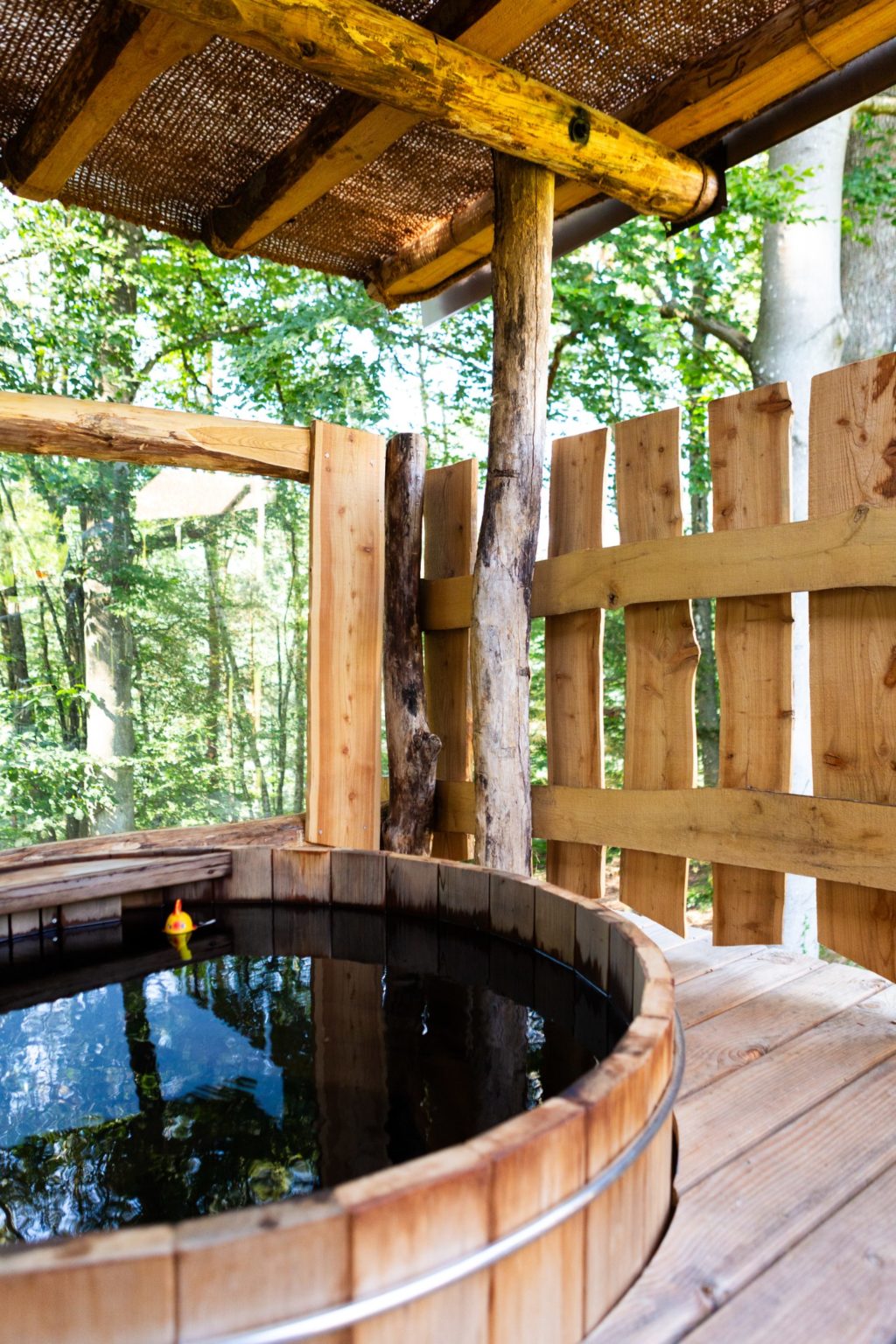 gites-insolites-hd-cabane-etang-26-photo-carine-domaine-de-la-forestiere-gite-alsace