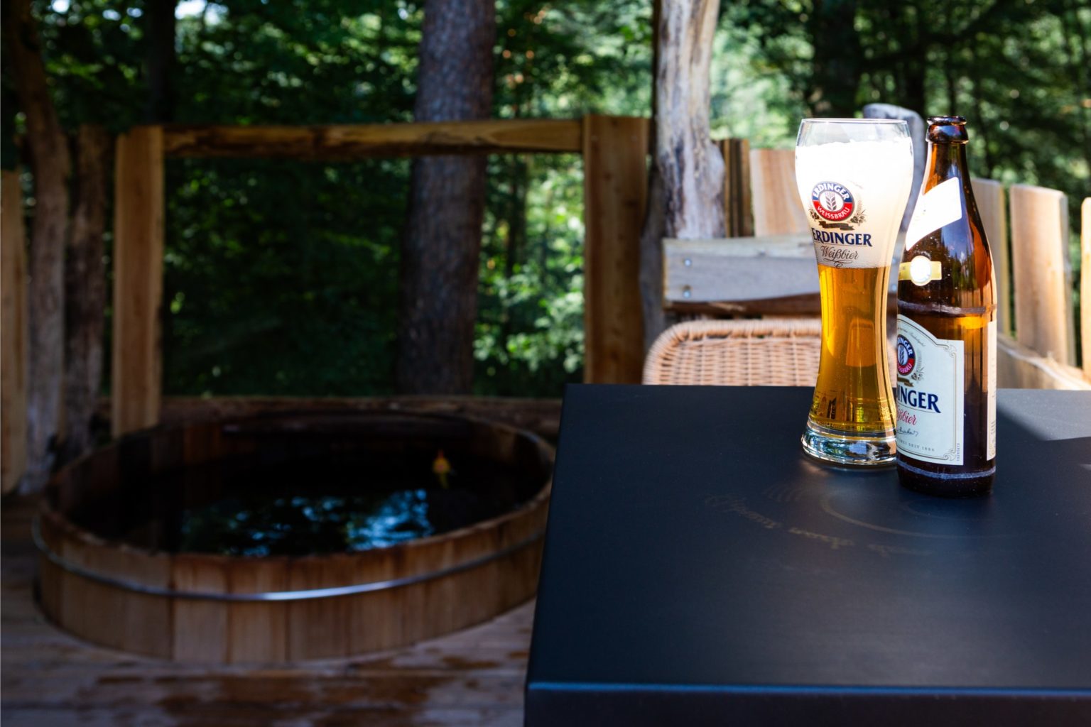 gites-insolites-hd-cabane-etang-7-photo-carine-domaine-de-la-forestiere-gite-alsace