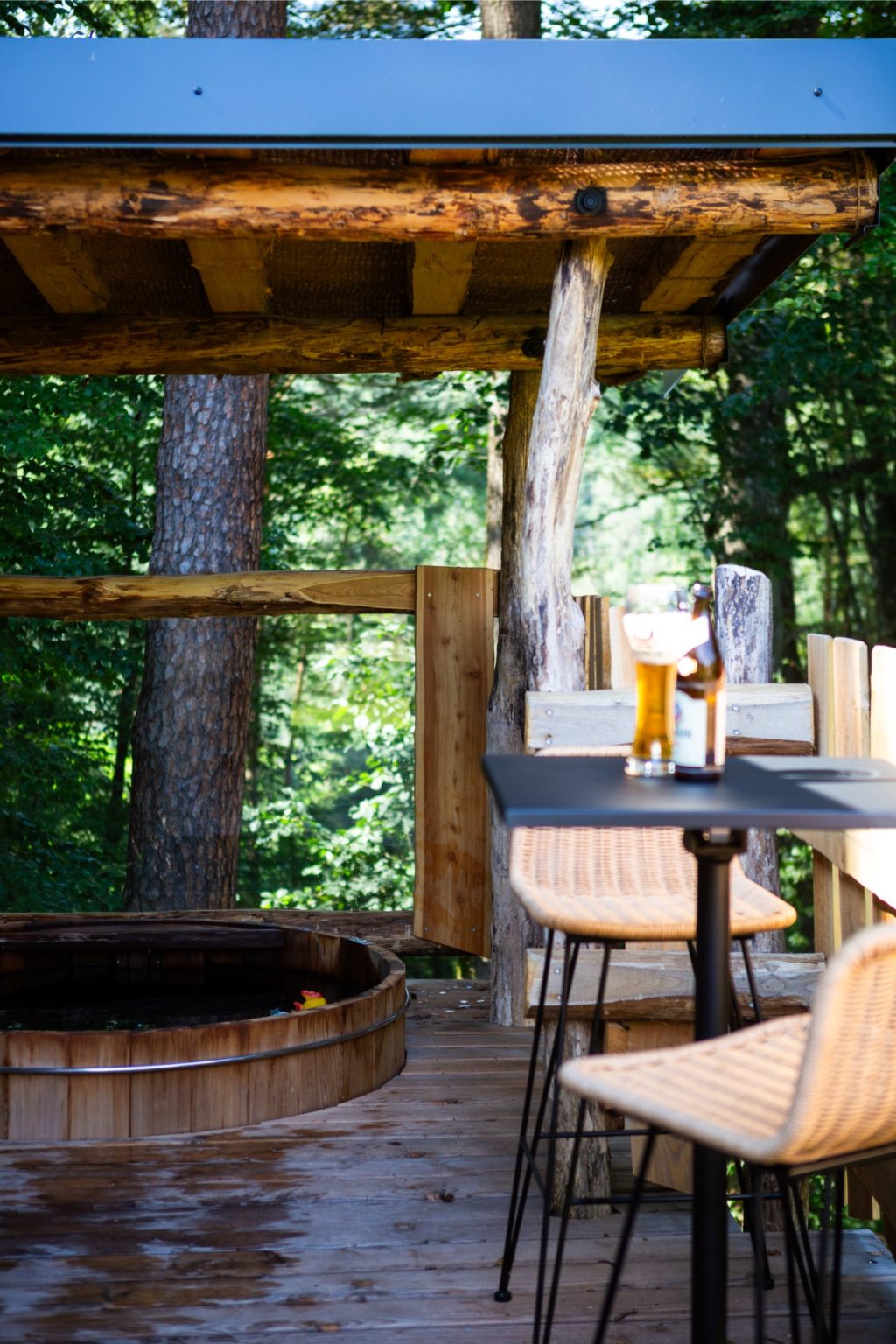 gites-insolites-hd-cabane-etang-8-photo-carine-domaine-de-la-forestiere-gite-alsace