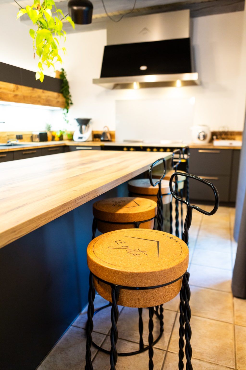 gites-insolites-hd-gite-10-pers-26-photo-carine-domaine-de-la-forestiere-gite-alsace